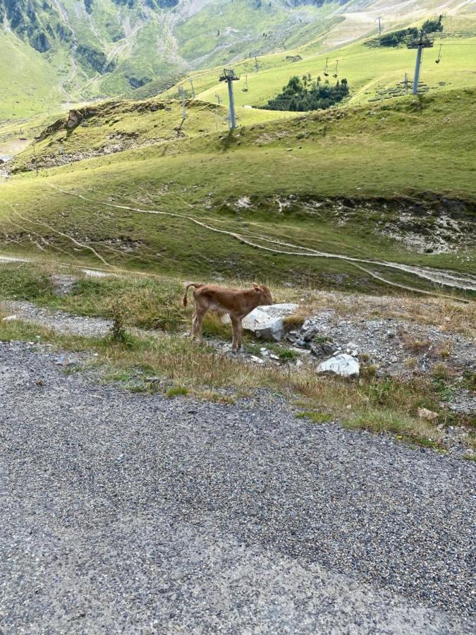 Le Cocon Themnest Daire La Mongie Dış mekan fotoğraf